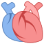 icons8-corazon-medico-80.png